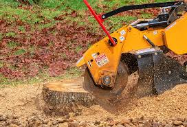 Lawn Edging in Salisbury, NY
